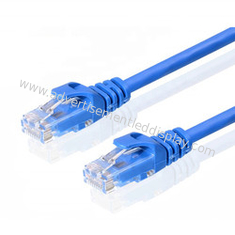 데이터 Cat 9 Ethernet 케이블을 이동시키는 푸른 네트워크 커넥터 케이블